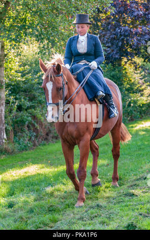 An elegent young lady riding in a traditional side saddle wearing top hat and face veil Stock Photo