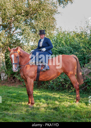 An elegent young lady riding in a traditional side saddle wearing top hat and face veil Stock Photo