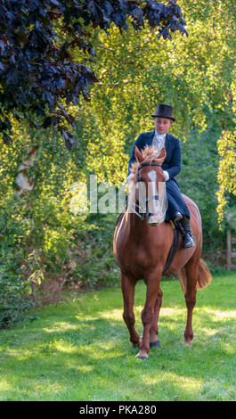 An elegent young lady riding in a traditional side saddle wearing top hat and face veil Stock Photo