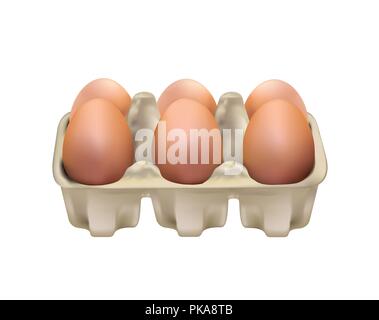 Eggs in a carton packaging Stock Vector