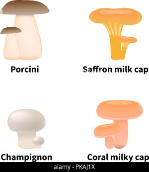 Vector illustration of edible mushrooms Stock Vector