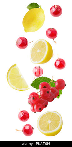 Isolated falling berries. Flying fresh lemon and red currant isolated on white background with clipping path as package design element and advertising Stock Photo