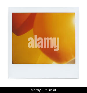 Retro realistic blank instant photo with shadow Stock Photo