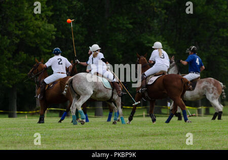 Niagara Polo featured two four-chukker games with players from the Toronto Polo Club, traditional divot stomp with bubbly and half-time entertainment. Stock Photo