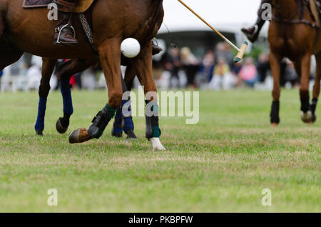 Niagara Polo featured two four-chukker games with players from the Toronto Polo Club, traditional divot stomp with bubbly and half-time entertainment. Stock Photo
