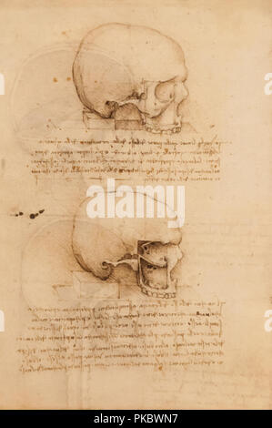 Leonardo da Vinci's human skull anatomical drawing at The Queen's Gallery, London, England, UK Stock Photo