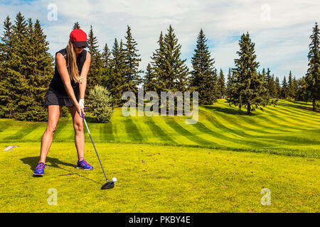 A female golf pro lines up her driver to the golf ball on the tee with a view of the green in the background; Edmonton, Alberta, Canada Stock Photo