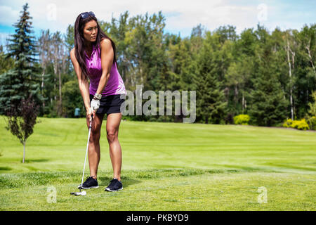 A female golfer lines up her putt her ball on the green on a warm summer day at a golf course; Edmonton, Alberta, Canada Stock Photo