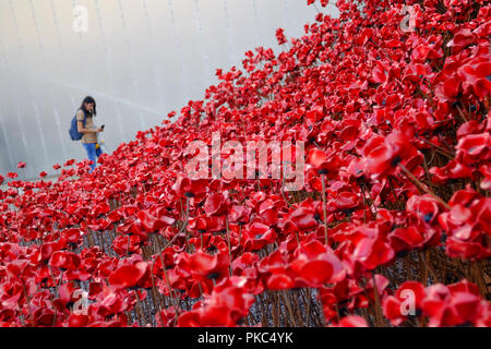 Salford, UK. 12 September 2018. Visitors at Imperial War Museum North look at 'Wave' and 'Weeping Window' an installation by artist Paul Cummins and installation designed by Tom Piper. The installation was originally at HM Tower of London from August to November 2014 where 888,246 poppies were displayed, one for every British or Colonial life lost at the Front during the First World War. Together, the sculptures Wave and Weeping Window are made of over 11,000 poppies. Credit: Premos/Alamy Live News Stock Photo