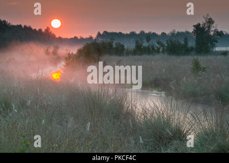 Sunrise in the moor, Emsland, Lower Saxony, Germany Stock Photo