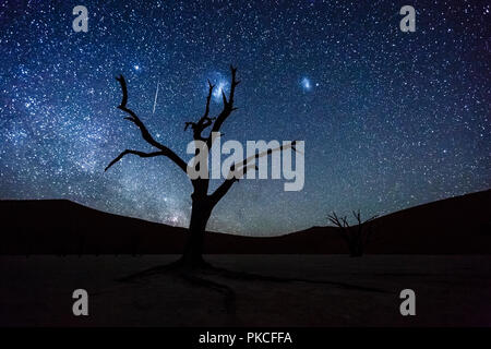Dead tree in front of starry sky with Milky Way, Deadvlei, Sossusvlei, Namibia Stock Photo