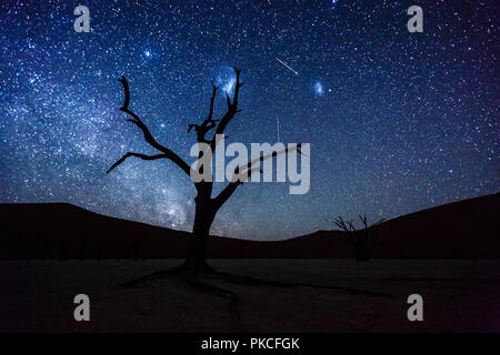 Dead tree in front of starry sky with Milky Way, Deadvlei, Sossusvlei, Namibia Stock Photo