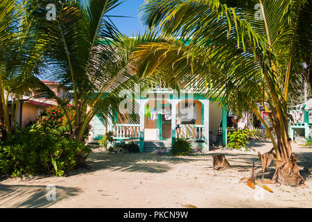 Green Wooden Beach House in Palm Trees on Sandy Shore Stock Photo