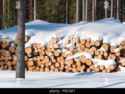 Snow-covered timber Stock Photo