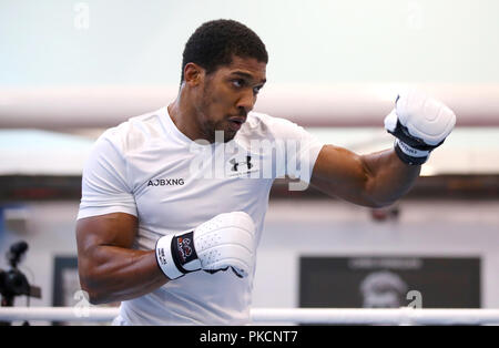 Anthony Joshua during a media workout at The English Institute of Sport, Sheffield PRESS ASSOCIATION Photo. Picture date: Wednesday September 12, 2018. See PA story BOXING Joshua. Photo credit should read: Nick Potts/PA Wire Stock Photo