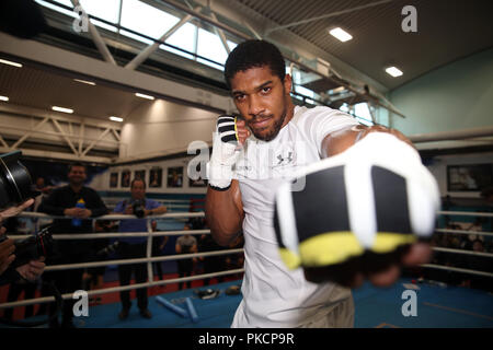 Anthony Joshua during a media workout at The English Institute of Sport, Sheffield Stock Photo