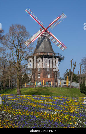 Herdentorswallmühle in the Park Wallanlagen, Bremen, Germany, Europe   I Herdentorswallmühle in den Wallanlagen , Bremen, Deutschland, Europa I Stock Photo