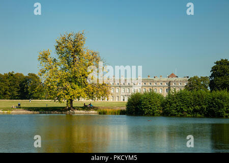 Summer afternoon in Petworth Park, West Sussex, England. Stock Photo