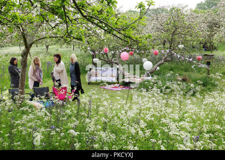 baby shower party in the grounds of Glastonbury Abbey, Somerset United Kingdom Stock Photo