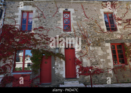 Bright red and green ivy growing wild on an old stone facade of a country house in a small village with red shutters Stock Photo