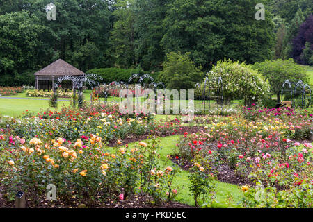 Flower beds and trellis. Taken during Rose Week at Sir Thomas and Lady Dixon Park, South Belfast, N.Ireland. Stock Photo