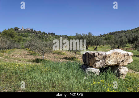 Central Istria (Istria), Croatia - Ancient stone structure placed in the one of olive groves that surrounds the medieval town of Grisignana (Groznjan) Stock Photo