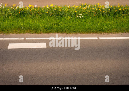 Netherlands,Lisse,Europe, a yellow fire hydrant sitting on the side of a road Stock Photo