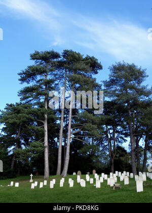 Commonwealth War Graves cemetery at Royal Victoria Country Park, Netley Abbey, Southampton, Hampshire, England, UK Stock Photo