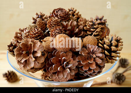 Closed up various type and size of many natural dry pine cones in a glass compote on wooden background Stock Photo