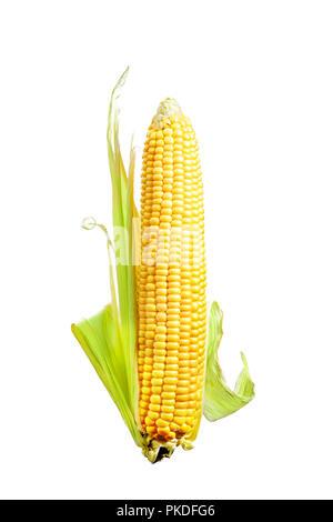 Single ear of Corn isolated on a white background Stock Photo