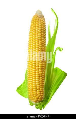 Single ear of Corn isolated on a white background Stock Photo