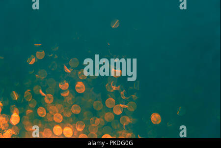 Blurred background with bokeh orange lights on teal background Stock Photo