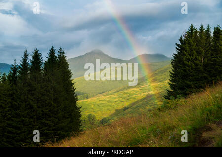 RAINBOW IN THE MOUNTAIN BETWEEN TREES WITH HIGH PEAK Stock Photo