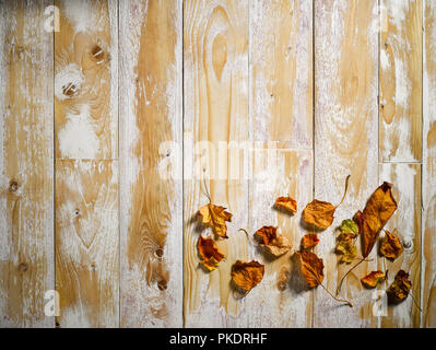 Barewood in studio, overhead view Stock Photo
