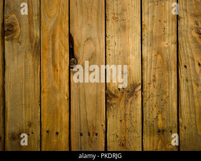 Barewood in studio, overhead view Stock Photo