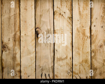 Barewood in studio, overhead view Stock Photo
