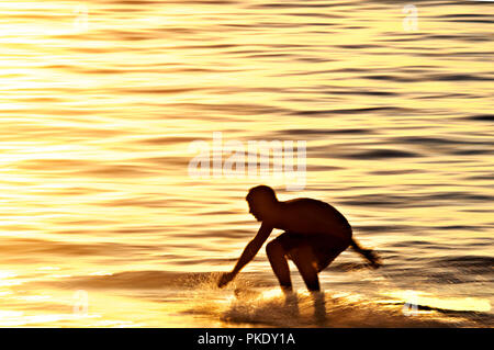 Silhouette of a person skimboarding in the golden yellow light of sunset. Stock Photo