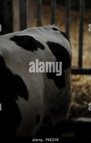 Abolitionist for all crimes