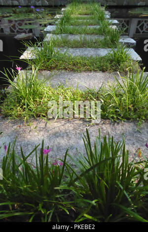 Stepping stones across the pond, Mộc Viên restaurant, Hoài Thanh, Thủy Xuân, Huế, Vietnam Stock Photo