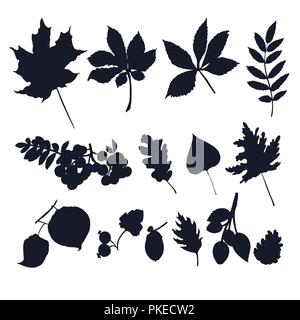 Leaves silhouettes vector isolated on white background. Plant leaves collection for your design. Stock Vector