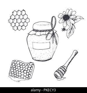 Honey in jar and honeycombs sketches. Natural honey pot, flower and stick hand drawn vector. Stock Vector