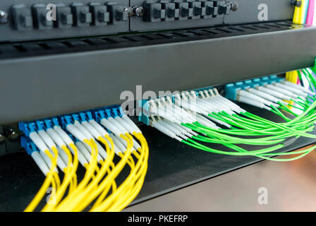 Fiber optic cable connected to card interface of networking switch Stock Photo