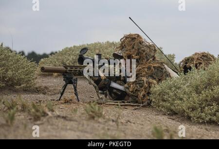 A U.S. Army Special Forces sniper, assigned to 10th Special Forces Group (Airborne), provides over watch security for an assault element during a training exercise on Fort Carson, Colo., Aug. 3, 2018. The training exercise was meant to test every ability of the Special Forces operators in conducting unconventional warfare operations. Stock Photo