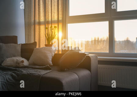 Cozy family room with brown couch and large windows showing  winter landscape on sunset Stock Photo