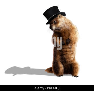 Digital illustration of a groundhog looking at his shadow Stock Photo