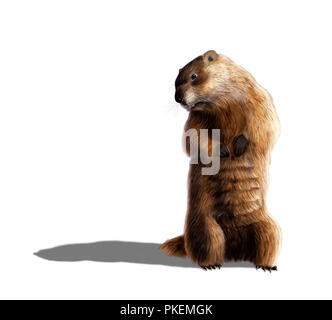 Digital illustration of a groundhog looking at his shadow Stock Photo