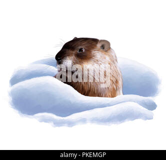 Digital illustration of a groundhog looking at his shadow Stock Photo