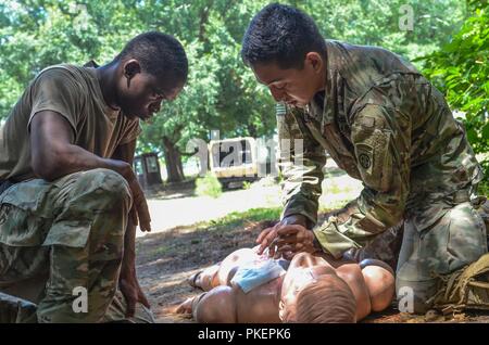 Spc. Edgar Cortes assigned to 1st Battalion, 508th Parachute Infantry Regiment, 3rd Brigade Combat Team, 82nd Airborne Division provides medical aid to a notional casualty during the Best Medic Competition at Fort Bragg, N.C., July 26, 2018. The medical lanes help simulate the stress of combat and prepare our Medics to save their fellow Paratroopers. Stock Photo