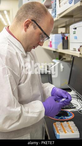 Armed Forces DNA Identification Laboratory demonstrates use of ...