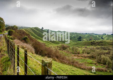 The Tahora Saddle, part of The Forgotten World Highway, North Island, New Zealand. Pastoral landscape with green rolling hills and grey cloudy skies. Stock Photo
